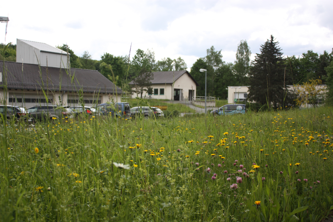 Freizeit für den Rasenmäher: Unsere Kläranlage Rodewisch -...
