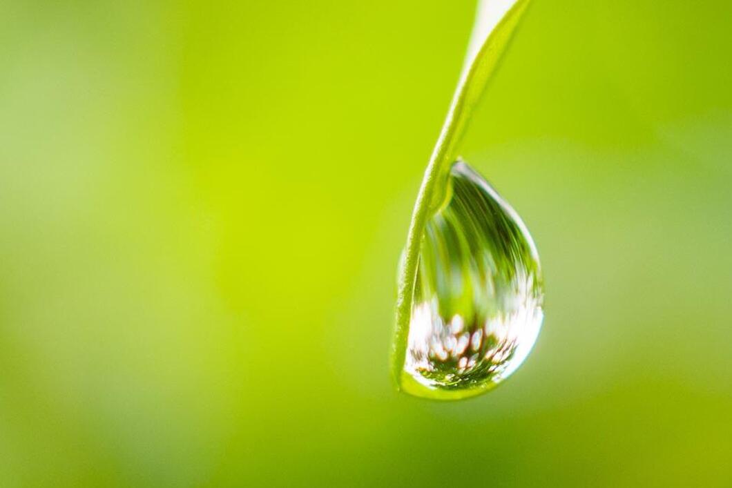 Leitungswasser statt Flaschenwasser für den Klimaschutz